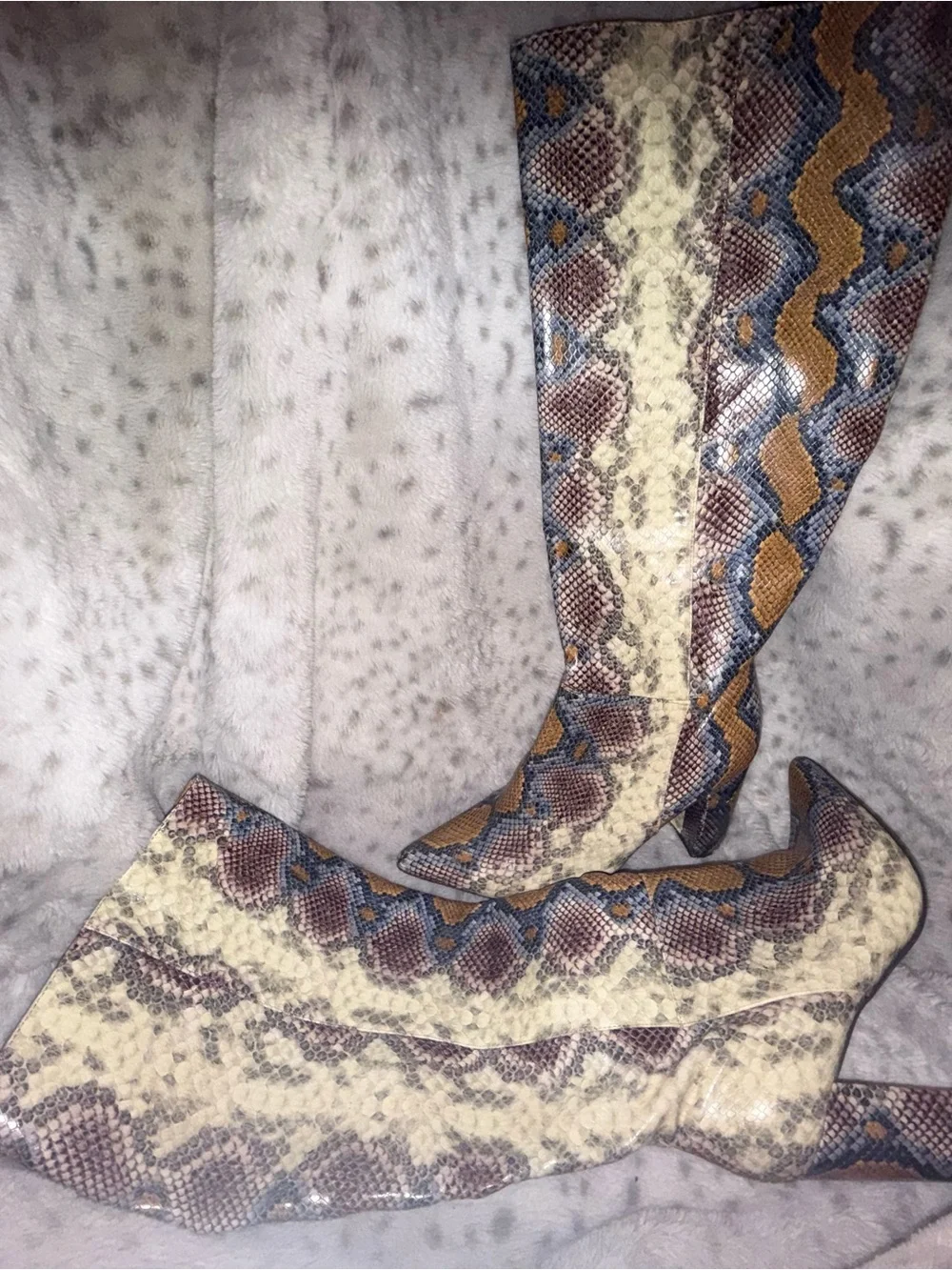 Fashion Nova Snake Print Over-The-Knee Boots in Cream, Brown, Blue